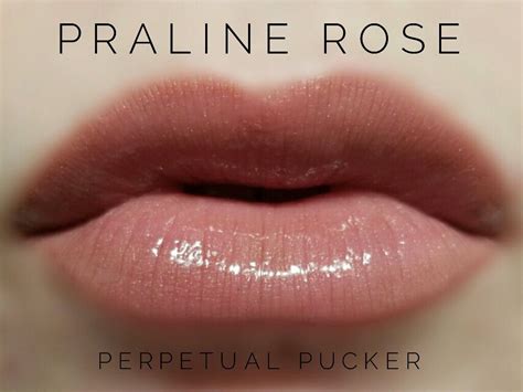 Lipsense Distributor Perpetualpucker Praline Rose Lip Colors