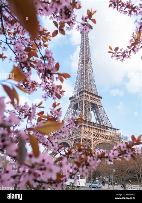 Beautiful Spring Time In Paris Stock Photo Alamy