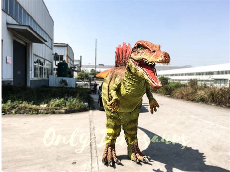 Jurassic Park Spinosaurus Costume For Adult Only Dinosaurs Ph