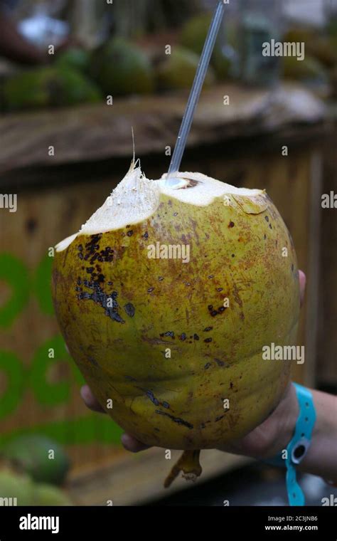 Thai Coconut Drink With A Straw Stock Photo Alamy