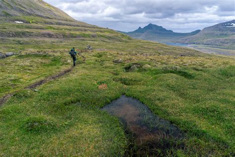 Hornstrandir Nature Reserve In Iceland