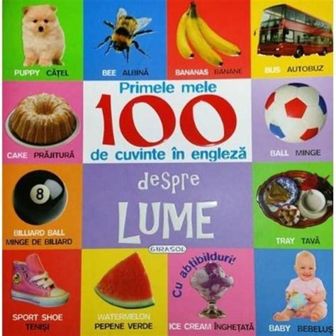 Primele Mele 100 De Cuvinte In Engleza Despre Lume