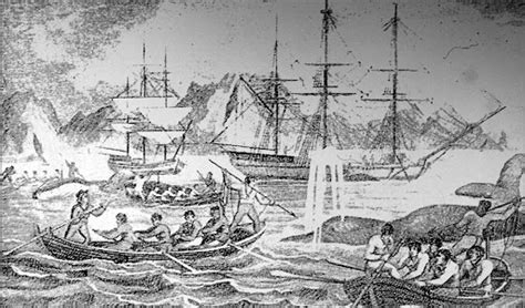 British And Slaves Whaling Off Cape Town Unknown