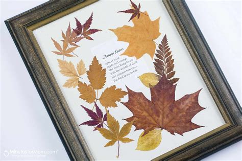 15 Dried Flower Crafts That Make Great Fall Decor