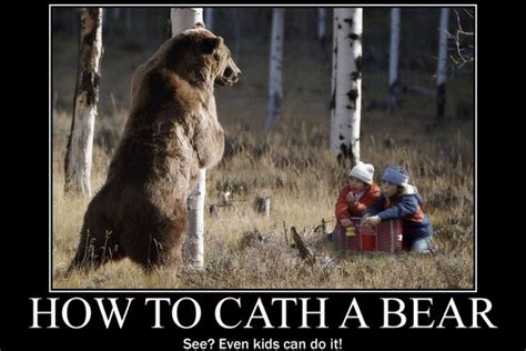 Quotes About Bears Quotesgram