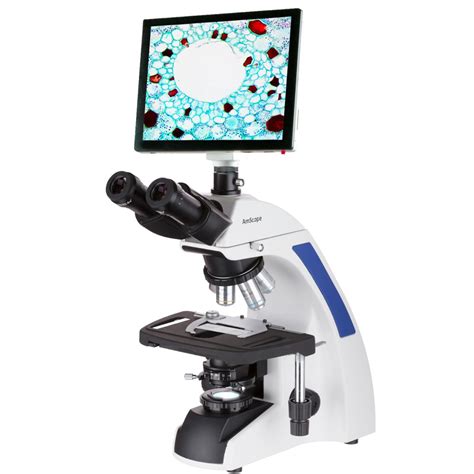 Amscope 40x 2500x Infinity Plan Laboratory Compound Microscope With Lcd