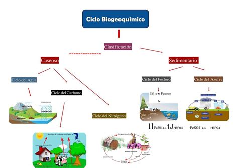 Ciclos Biogeoquímicos Udocz