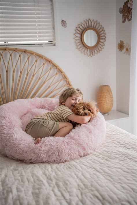 Keeping them calm all day. Calming Pet Bed | Pet calming, Living room photos, Dog bed