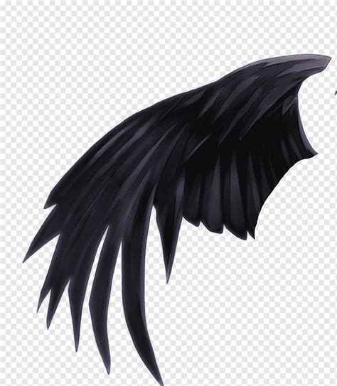 Anime Angel With Black Wings