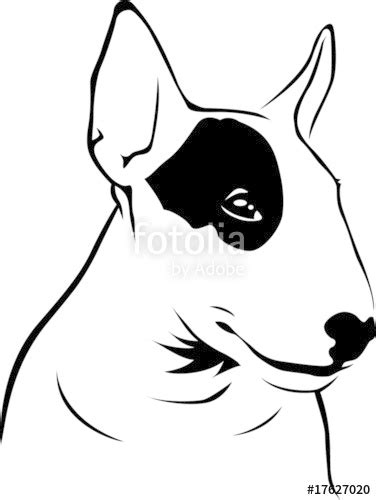 Bull Terrier Vector At Collection Of Bull Terrier
