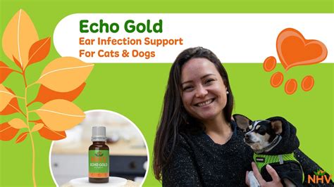 Nhv Echo Gold Ear Infection Support For Cats And Dogs Youtube