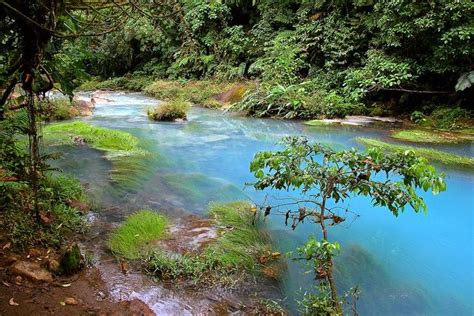 The Light Blue River By Flowerbee Cañas Guanacaste Costa Rica