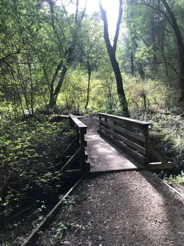 Best Hikes And Trails In Harvey West Park Alltrails