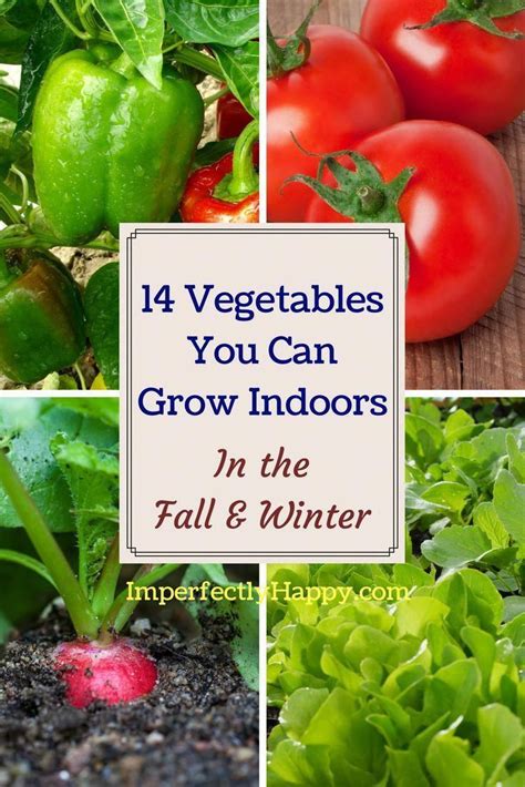 14 Vegetables You Can Grow Indoors In The Fall And Winter