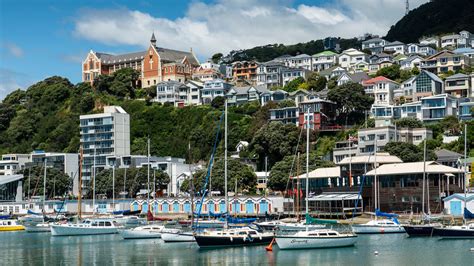 Best Things To Do In Wellington New Zealand Hot Sex Picture