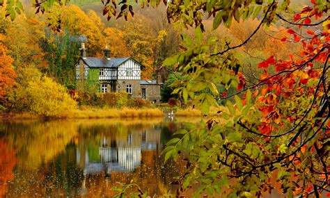 Autumn Fall Landscape Nature Tree Forest Leaf Leaves House