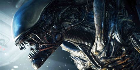 Covenant cast, as he has added four more actors. Alien: Covenant - New Xenomorph Name & Details Revealed