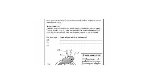 grade 3 science worksheet