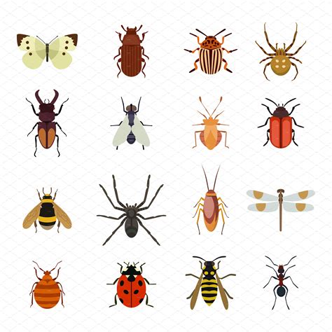 Insect Icons Flat Vector Set Animal Illustrations ~ Creative Market