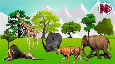 Wild Animals for Kids - YouTube