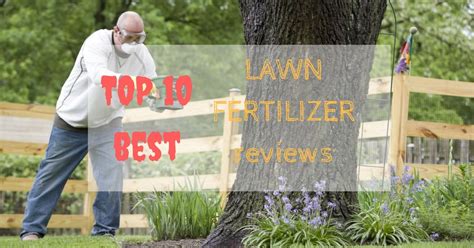 Even though i enjoy the general lawn care, i realized there were a few things i couldn't do as well on my own. Best Lawn Fertilizer Reviews For Spring 2016-2017