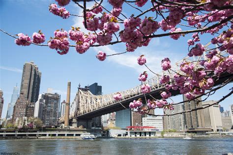 Visiter New York Au Printemps Spring Season In Nycmybigapplecity