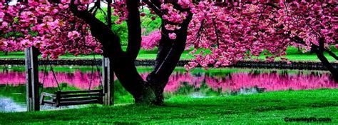 Pin By ♔ A L I C I A ♔ On Fb Covers Beautiful Gardens Outdoor
