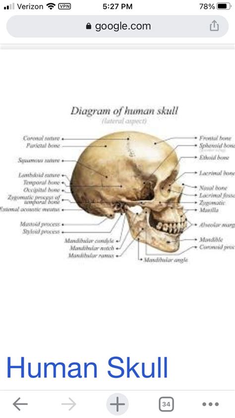Occipital Bone Lump