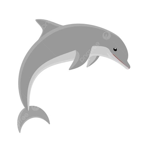 Gambar Lumba Lumba Laut Lucu Abu Abu Untuk Buku Seni Anda Lumba Lumba
