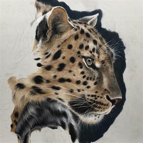 Leopard Wip Color Pencil Wild Animal Drawings Click The Image For