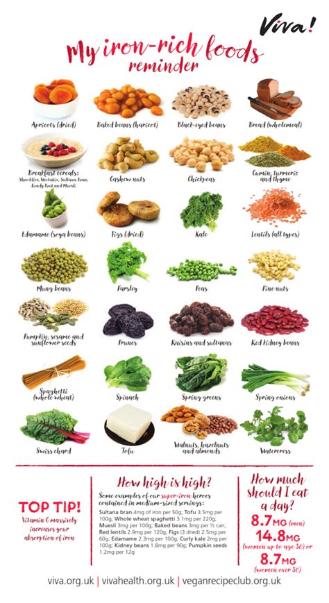 Iron Nutritional Poster Iron Rich Foods Foods High In Iron Foods