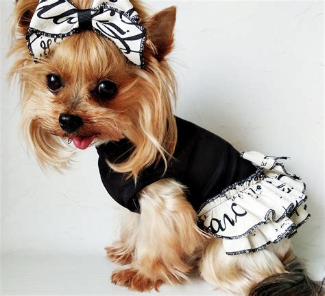 Cute Dog Dress Dog Clothes Girl Teacup Dog Clothes Luxury Etsy