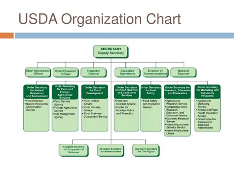 Usda Organization Chart