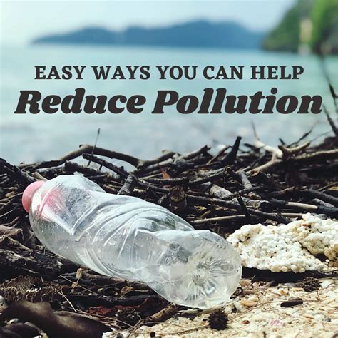 5 Easy Ways You Can Help Reduce Pollution - Dengarden