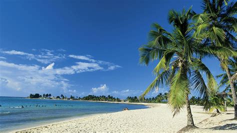 Tropical Beach In Cuba Backiee