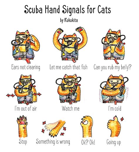 Scuba Diver Cats Hand Signals By Kukukita