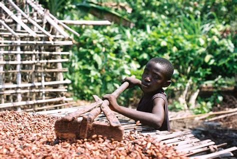 Petition · Tell Hershey Mars And Nestle To Stop Child Labor United