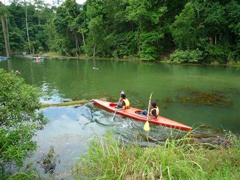 Residence in petaling jaya, malaysia. Kota Damansara Community Forest Reserve - Nature reserve ...