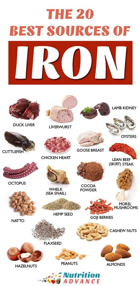 iron rich foods chart pdf