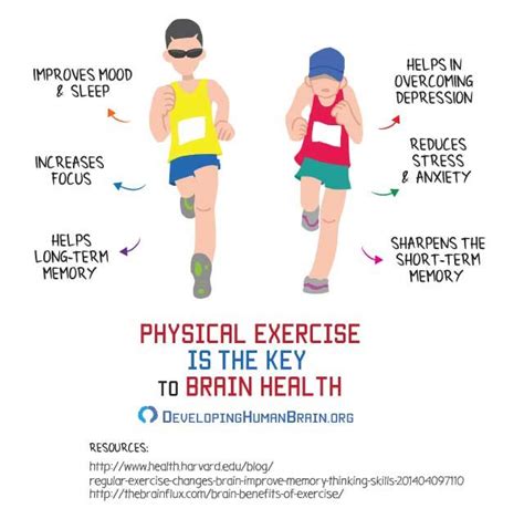Effects Of Physical Exercise On The Brain Infographic