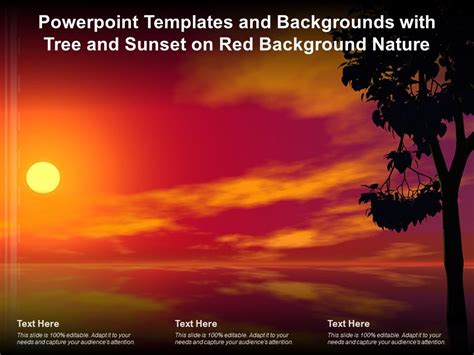 Powerpoint Templates And Backgrounds With Tree And Sunset On Red