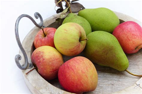 How To Store Apples And Pears Pioneer Thinking