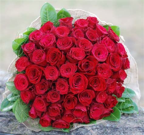 Spectacular 50 Red Roses Vb50 Angkor Flowers