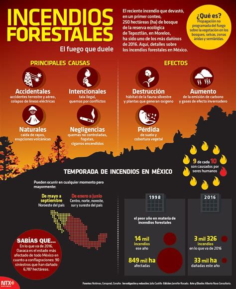 infografÍa sobre los incendios forestales en méxico ejecentral scoopnest