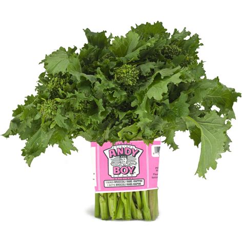 Broccoli Rabe Andy Boy