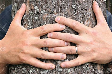 Tree Hugging Stock Image Image Of Clasp Affection Cuddle 6160957
