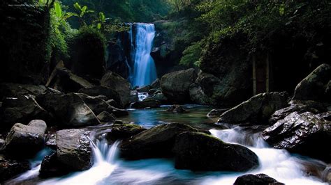 Wallpaper Landscape Forest Waterfall Rock Nature River
