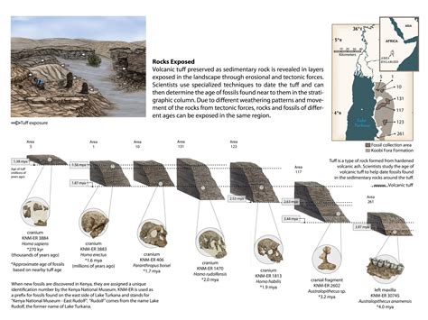 Dating Fossils Ppt Telegraph