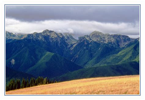 Hurricane Ridge In Olympic National Park 1992 Olympic Na Flickr
