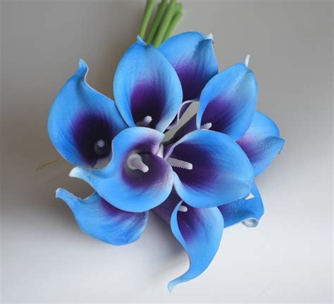 10 Royal Blue Purple Picasso Calla Lilies Real Touch Flowers Etsy